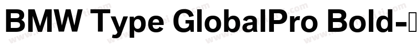 BMW Type GlobalPro Bold字体转换